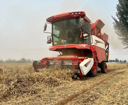 忠實(shí)粉絲李師傅：中聯(lián)收獲花生機(jī)，致富路上的可靠伙伴